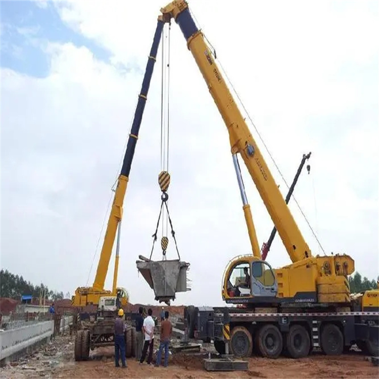 儋州小型吊机出租电话|厂房设备吊装方案|24小时服务覆盖